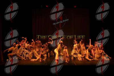 SHOW_02380.jpg